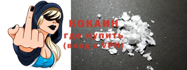 индика Ладушкин