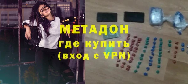 индика Ладушкин