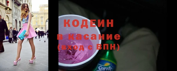 индика Ладушкин