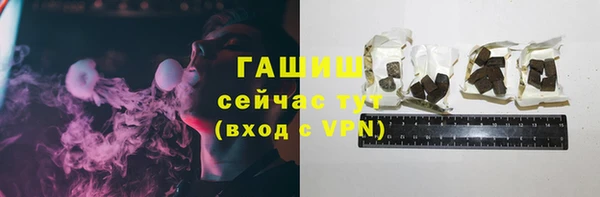 индика Ладушкин