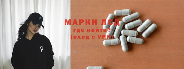 индика Ладушкин