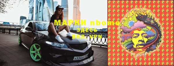 индика Ладушкин