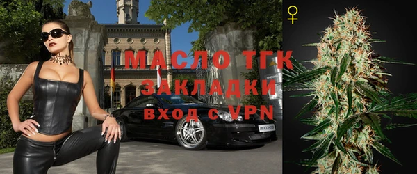 индика Ладушкин
