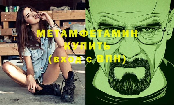 индика Ладушкин