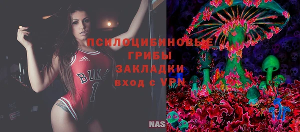 индика Ладушкин