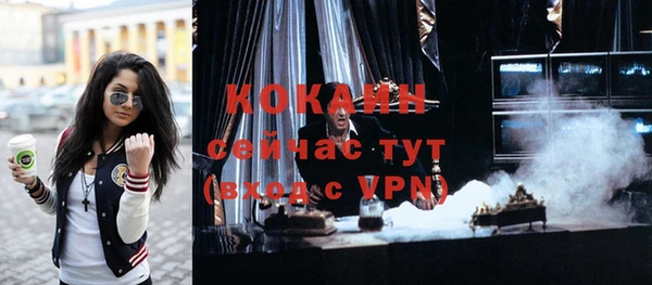 индика Ладушкин