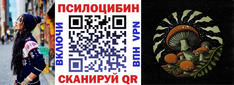 где найти наркотики  Новохопёрск  Псилоцибиновые грибы GOLDEN TEACHER 