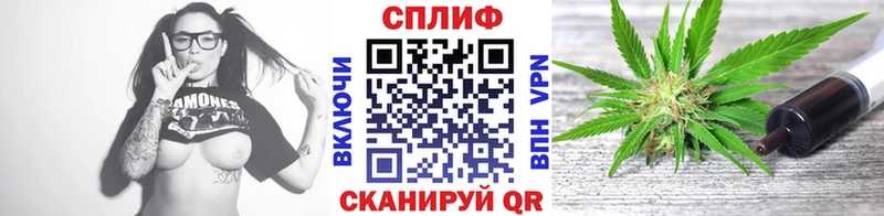 где купить наркоту  Новохопёрск  МАРИХУАНА планчик 